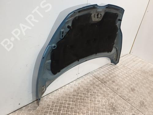 Hood FORD FIESTA VI (CB1, CCN) 1.6 TDCi | BP22786786C1 