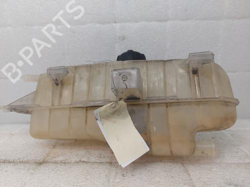 Expansion tank RENAULT CLIO III (BR0/1, CR0/1) 1.2 16V | BP22185559C120 