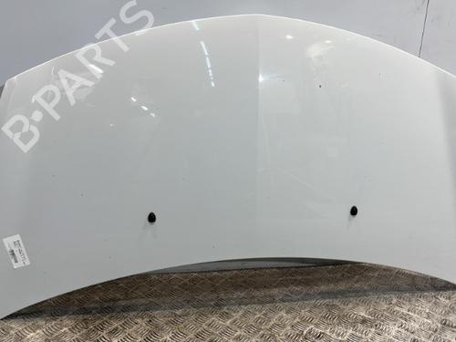 Hood RENAULT CLIO III (BR0/1, CR0/1) 1.5 dCi | BP20381293C1 