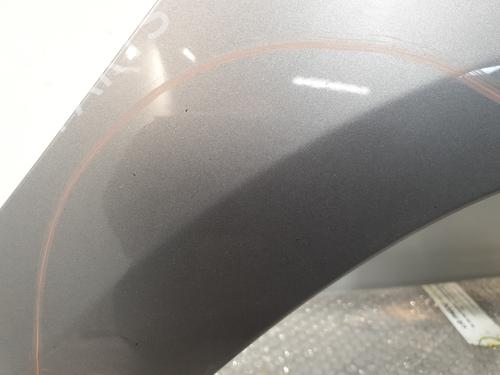 Right front fenders RENAULT SCÉNIC III (JZ0/1_) 1.5 dCi (JZ02, JZ0R) | BP30193441C42 