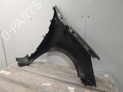 Left front fenders RENAULT CLIO III (BR0/1, CR0/1) 1.5 dCi (BR17, CR17) | BP32311760C41