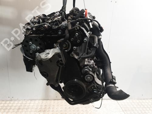 Engine VW POLO V (6R1, 6C1) 1.6 TDI | BP29699552M1 