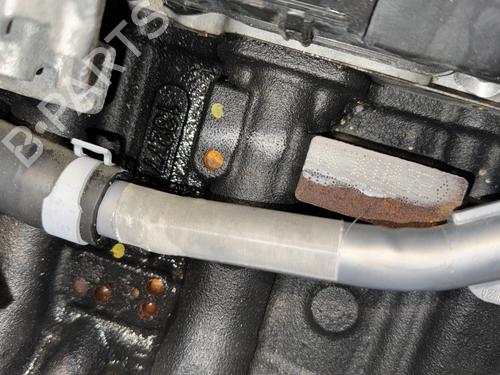 Used Engine Engine RENAULT KANGOO Express (FW0/1_) [2008-2026] 33700506 33700506