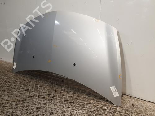 Hood RENAULT CLIO III (BR0/1, CR0/1) 1.5 dCi (C/BR0G, C/BR1G) | BP26191919C1 