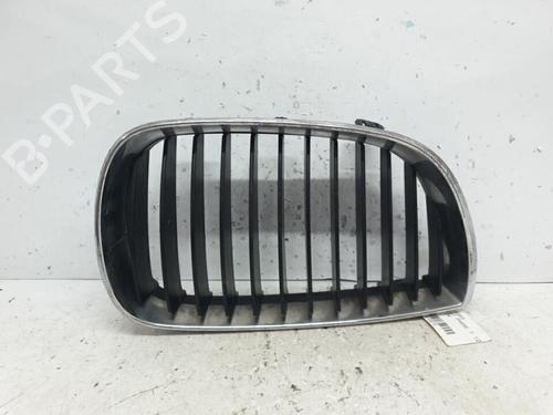 Grille BMW 1 (E87) 120 d | BP20375502C40 