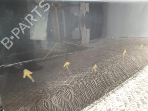 Left front door BMW 1 Coupe (E82) 123 d | BP24398345C2