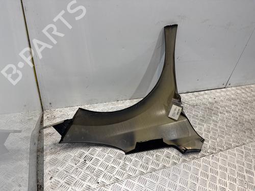 Used Left front fenders Left front fenders PEUGEOT 207 CC (WD_) 1.6 HDi (109 hp) 35813094 35813094