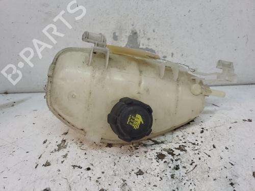 Used Expansion tank RENAULT KANGOO Express (FW0/1_) 1.5 dCi 95 (FW16) (95 hp) 20374440