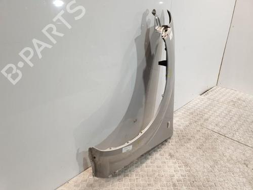 Left front fenders NISSAN PATHFINDER III (R51) 2.5 dCi 4WD | BP20374988C41