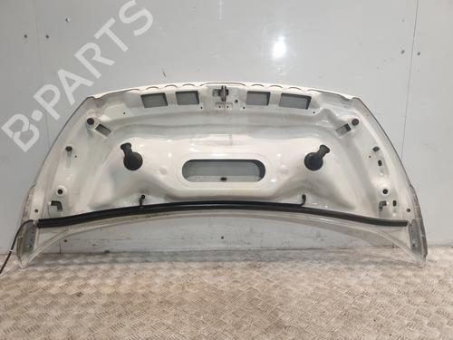 Hood FIAT DOBLO Cargo (263_) 1.6 D Multijet (263WXD1B, 263WXR1B, 263WXX1B, 263ZXD1B,... | BP30091143C1 