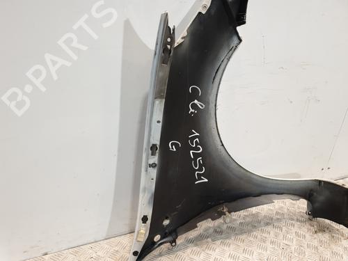 Left front fenders RENAULT CLIO III (BR0/1, CR0/1) 1.5 dCi (BR17, CR17) | BP27673801C41 