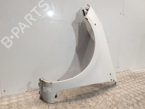 Left front fenders RENAULT CLIO III (BR0/1, CR0/1) 1.5 dCi (BR17, CR17) | BP27673801C41 