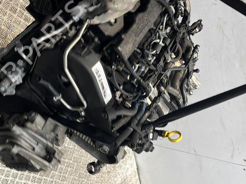 Engine AUDI A3 (8V1, 8VK) 2.0 TDI | BP32364666M1