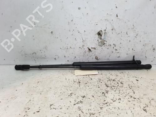 Used Hood lift support AUDI Q5 (FYB, FYG) 50 TDI quattro (286 hp) 20384655