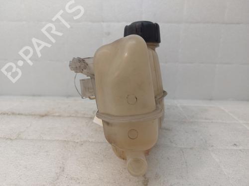 Expansion tank RENAULT CLIO III (BR0/1, CR0/1) 1.2 16V | BP22185559C120 