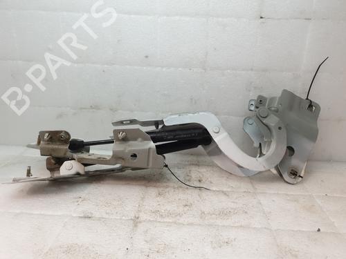 Hinge/Door check strap RENAULT ZOE (BFM_) ZOE | BP27181213C146 