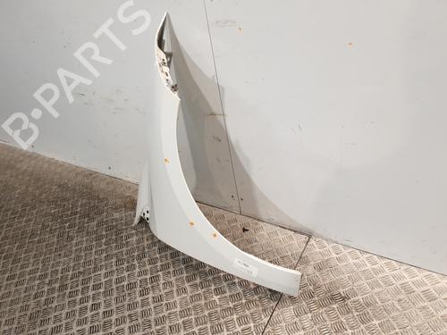 Right front fenders RENAULT MEGANE III Hatchback (BZ0/1_, B3_) 1.5 dCi (BZ0C) | BP25611593C42 