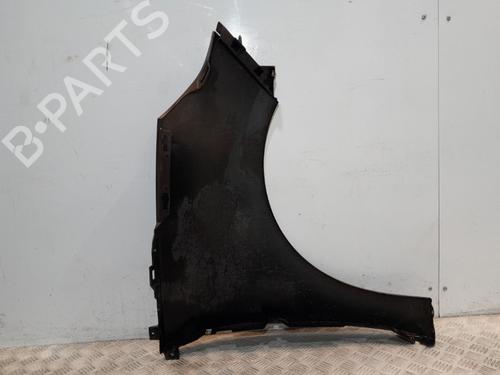 Left front fenders RENAULT SCÉNIC III (JZ0/1_) 1.5 dCi | BP20381581C41 
