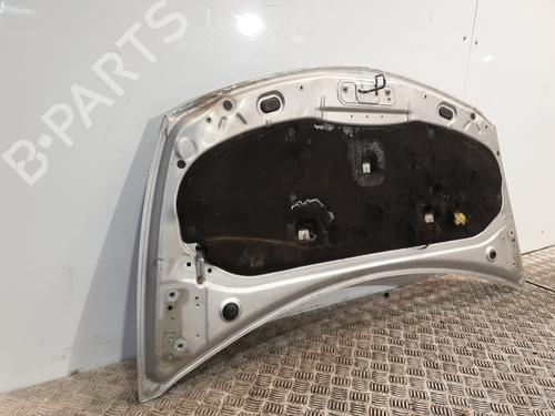 Hood RENAULT CLIO III (BR0/1, CR0/1) 1.5 dCi (C/BR0G, C/BR1G) | BP26191919C1 