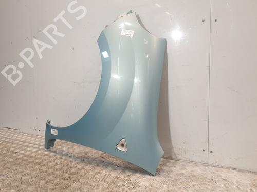 Left front fenders RENAULT KANGOO / GRAND KANGOO II (KW0/1_) 1.5 dCi 90 (KW05, KW08, KW0G, KW11) | BP29052691C41 