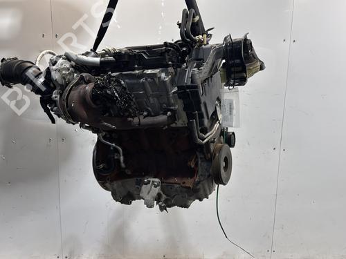 Engine RENAULT KANGOO Express (FW0/1_) | BP33700506M1 - Image 5