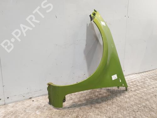 Left front fenders RENAULT CLIO III (BR0/1, CR0/1) 1.5 dCi (C/BR0G, C/BR1G) | BP29052729C41 
