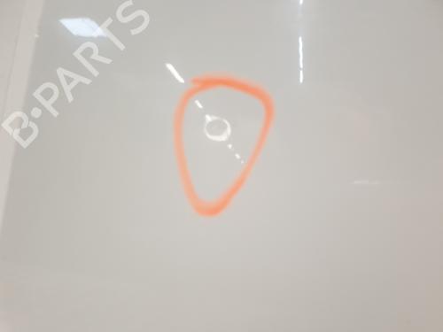 Right front door DACIA DUSTER (HS_) 1.6 16V Hi-Flex | BP30193322C3 