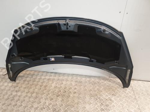 Used Hood Hood PEUGEOT 207 (WA_, WC_) 1.6 16V (109 hp) 20374833 20374833