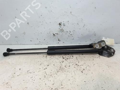 Tailgate lift support RENAULT CLIO IV (BH_) 1.5 dCi 75 | BP20378079C138 