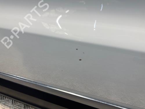 Dør venstre fortil Dør venstre fortil VW TIGUAN (5N_) 2.0 TDI (140 hp) 36763342 36763342