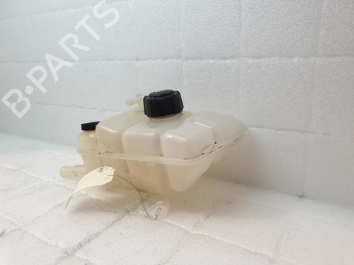 Ekspansjonstank Ekspansjonstank RENAULT MEGANE IV Grandtour (K9A/M/N_) 1.2 TCe 130 (K9MR) (130 hp) 22990821 22990821