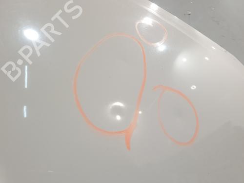 Capot RENAULT TWINGO II (CN0_) 1.2 (CN0D) | BP30643069C1