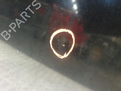 Hood FORD FIESTA VI (CB1, CCN) 1.4 TDCi | BP31376337C1 