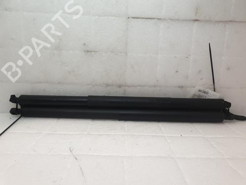 Used Tailgate lift support TESLA MODEL Y (5YJY) EV (264 hp) 28908250