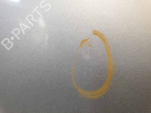 Hood RENAULT CLIO III (BR0/1, CR0/1) 1.5 dCi (C/BR0G, C/BR1G) | BP26191919C1 