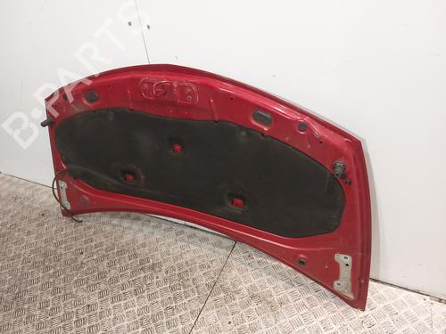 Hood RENAULT CLIO III (BR0/1, CR0/1) 1.5 dCi (BR17, CR17) | BP23781367C1 