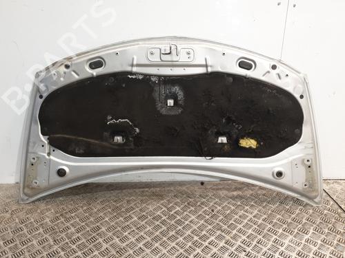 Hood RENAULT CLIO III (BR0/1, CR0/1) 1.5 dCi (C/BR0G, C/BR1G) | BP26191919C1 