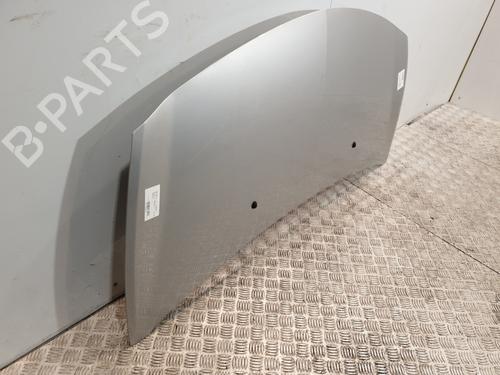 Hood RENAULT CLIO III (BR0/1, CR0/1) 1.5 dCi | BP22596135C1 