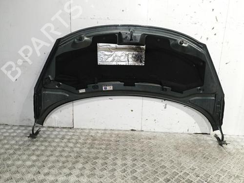 Used Hood PEUGEOT 207 (WA_, WC_) 1.6 HDi (109 hp) 20378650