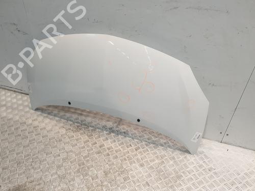 Capot RENAULT TWINGO II (CN0_) 1.2 (CN0D) | BP30643069C1