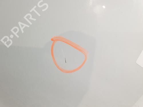 Tailgate RENAULT TWINGO II (CN0_) 1.2 16V (CN04, CN0B) | BP30193320C6 