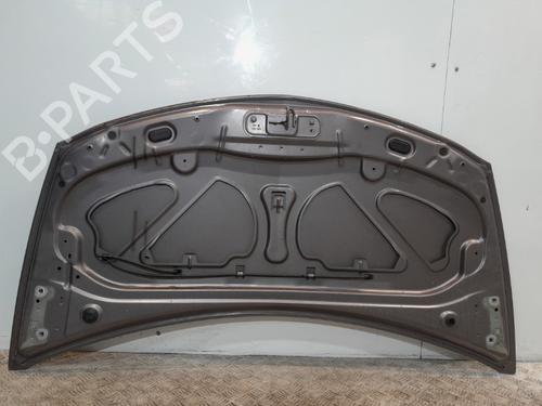Hood RENAULT CLIO III (BR0/1, CR0/1) 1.2 16V (BR02, BR0J, BR11, CR02, CR0J, CR11) | BP20374462C1 