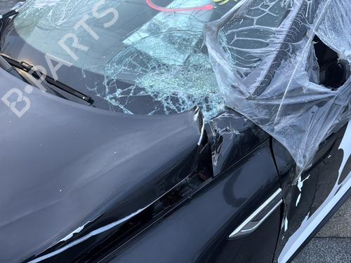 Left front fog light RENAULT TALISMAN (LP_) 1.6 dCi 130 | BP32265369C30