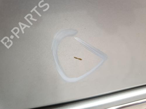 Left rear door MERCEDES-BENZ C-CLASS (W203) C 200 CDI (203.004) | BP25893044C4 