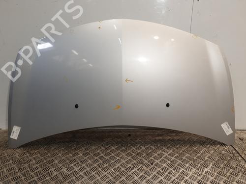 Used Hood RENAULT CLIO III (BR0/1, CR0/1) 1.5 dCi (C/BR0G, C/BR1G) (68 hp) 26191919