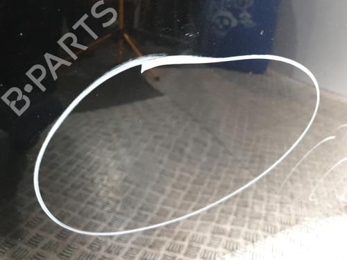 Hood SEAT IBIZA IV (6J5, 6P1) 1.6 TDI | BP26056272C1 