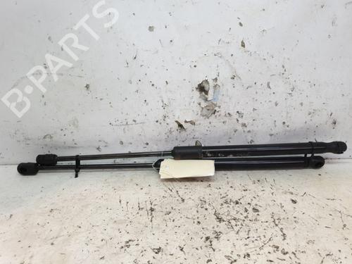 Hood lift support AUDI Q5 (FYB, FYG) 50 TDI quattro | BP20384655C139 