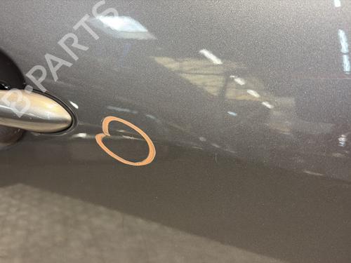 Right front door RENAULT SCÉNIC III (JZ0/1_) 1.5 dCi | BP29053711C3 