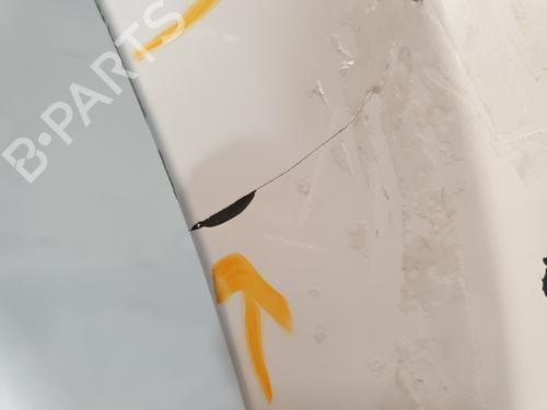 Left front fenders RENAULT CLIO III (BR0/1, CR0/1) 1.5 dCi (BR17, CR17) | BP27673801C41 