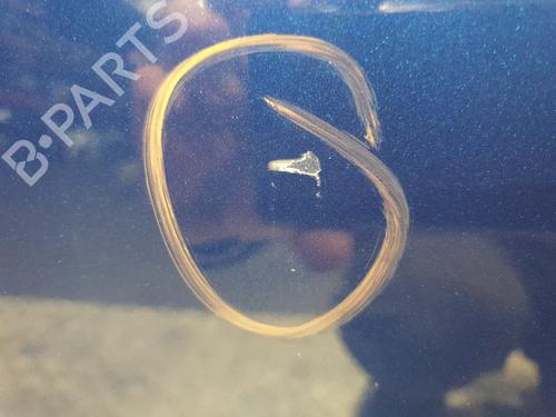 Right rear door RENAULT CLIO V (B7_) 1.0 TCe 90 (B7MT) | BP29221340C5 